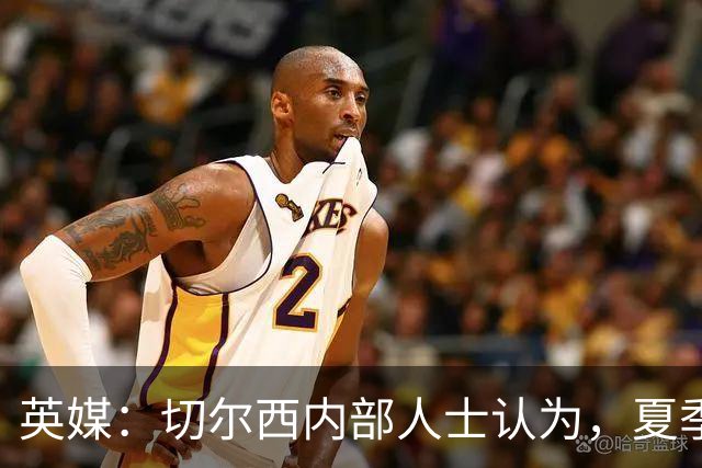 英媒：切尔西内部人士认为，夏季转会窗口的操作堪称巨大成功
